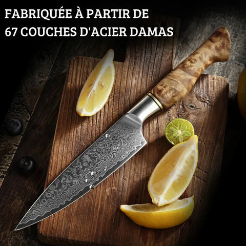 COUTEAU DE CUISINE DAMAS | HIKARI'CHEF™