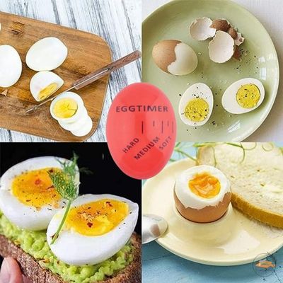 minuteur-precision-oeuf-coque-moelleux-dur-eggtime.jpg