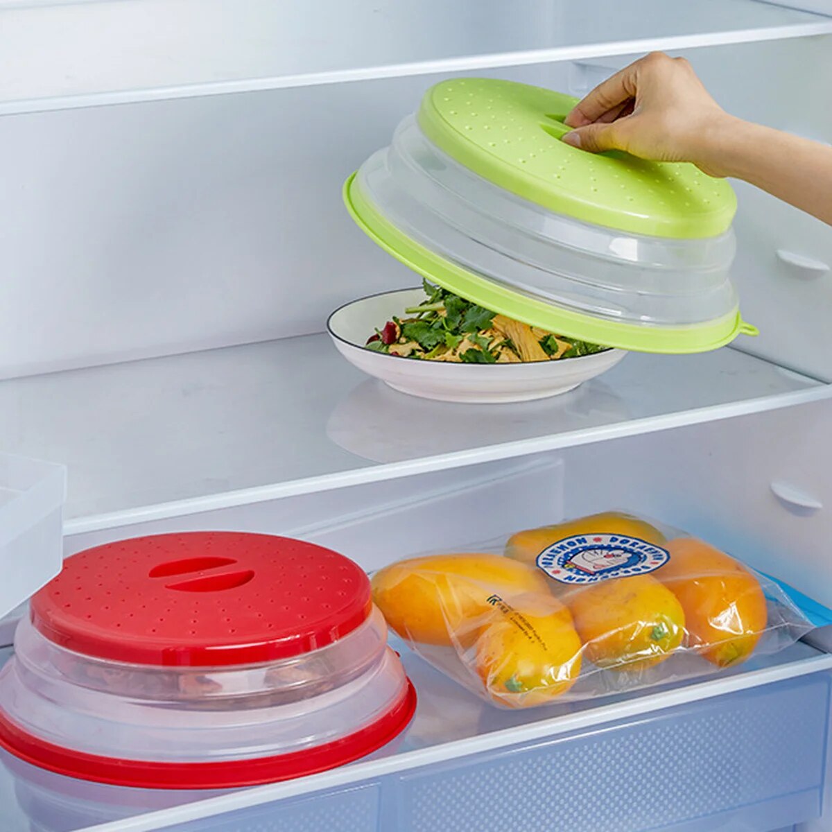 COUVRE-PLAT | GASTRO'SHIELD™