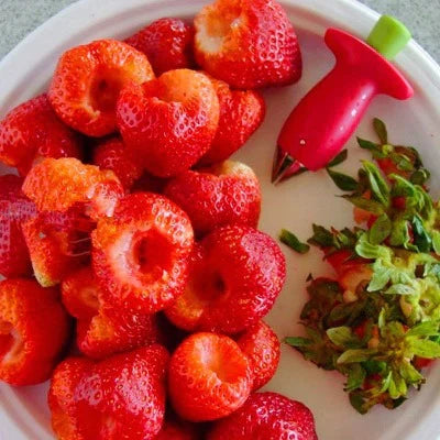 equeuteur-de-fraises-pratique