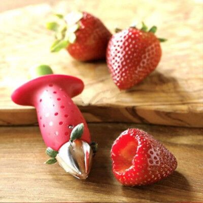 equeuteur-de-fraises-econome-legume-sans-effort
