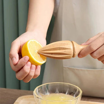presse-citron-manuel-suncitrus-vue-ensemble.jpg

