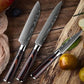 couteaux-de-cuisine-polyvalent-pomme