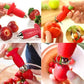 ÉQUEUTEUR DE FRAISES ET TOMATES | BerryEdge™