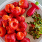 ÉQUEUTEUR DE FRAISES ET TOMATES | BerryEdge™